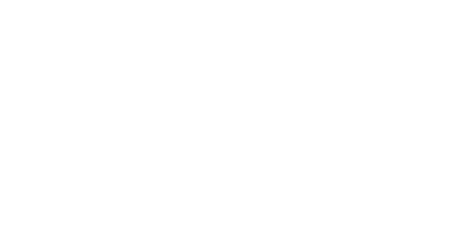 meldeshirm logo