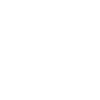 top-partner Logo