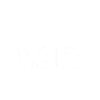 vdm Logo